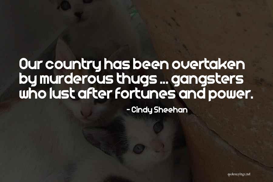 Cindy Sheehan Quotes 1314510 Cindy Sheehan Quotes 1314510