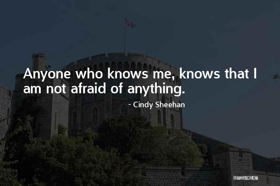 Cindy Sheehan Quotes 1378842 Cindy Sheehan Quotes 1378842
