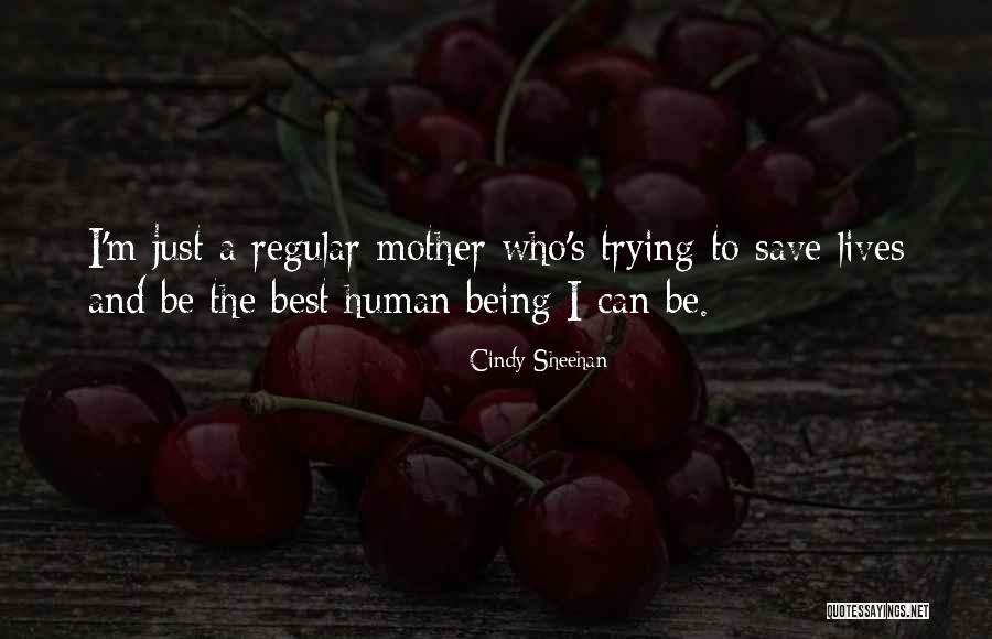 Cindy Sheehan Quotes 147926 Cindy Sheehan Quotes 147926