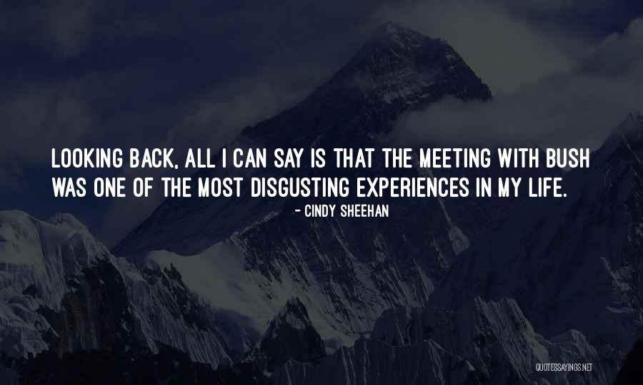 Cindy Sheehan Quotes 1608464 Cindy Sheehan Quotes 1608464