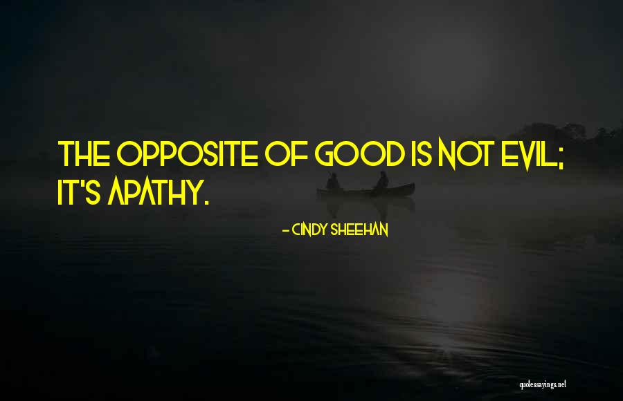 Cindy Sheehan Quotes 1803411 Cindy Sheehan Quotes 1803411