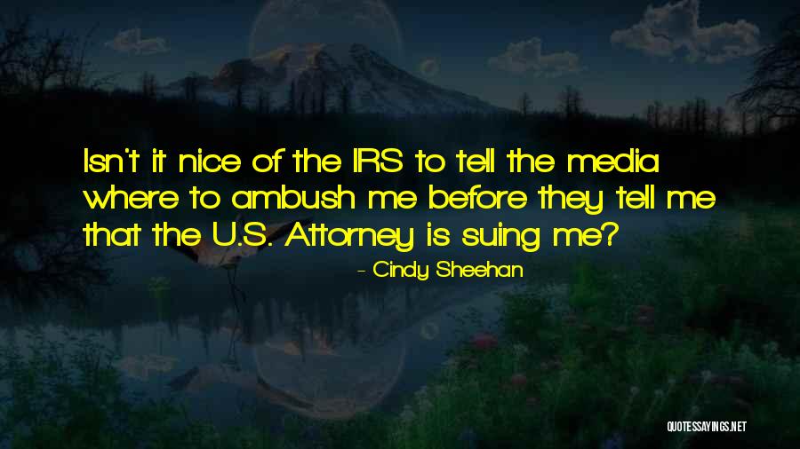 Cindy Sheehan Quotes 2017713