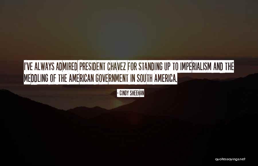 Cindy Sheehan Quotes 220168 Cindy Sheehan Quotes 220168