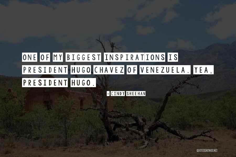 Cindy Sheehan Quotes 2238628 Cindy Sheehan Quotes 2238628