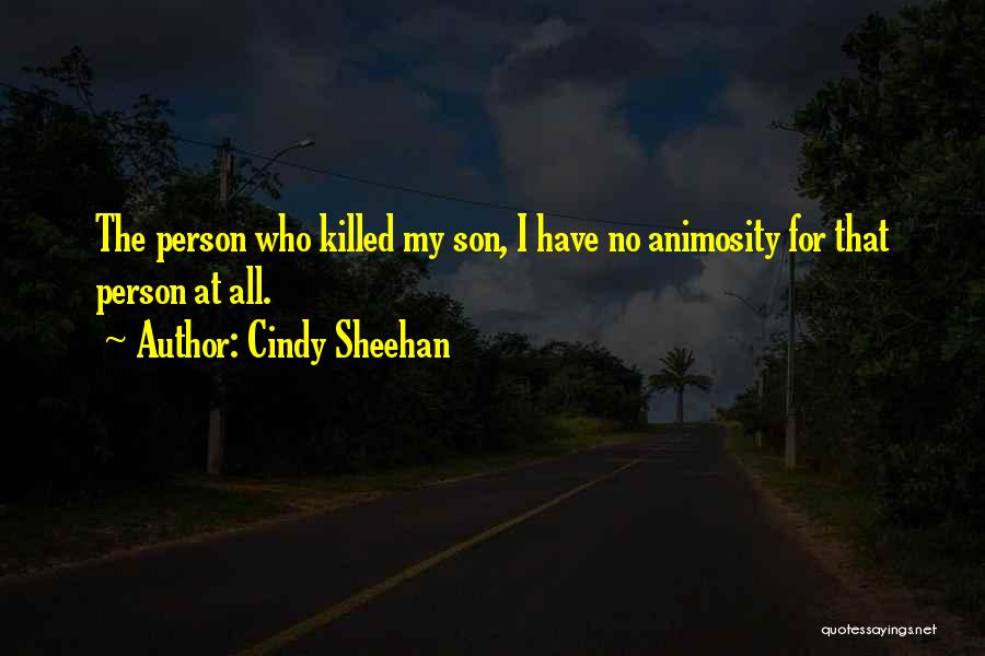 Cindy Sheehan Quotes 497471