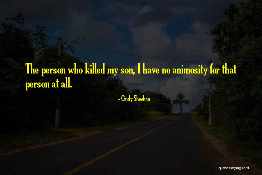 Cindy Sheehan Quotes 497471 Cindy Sheehan Quotes 497471