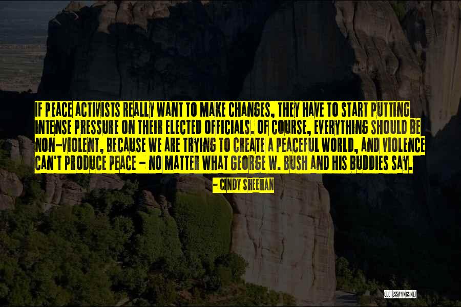 Cindy Sheehan Quotes 711455 Cindy Sheehan Quotes 711455