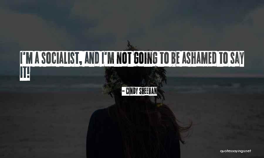 Cindy Sheehan Quotes 924596 Cindy Sheehan Quotes 924596