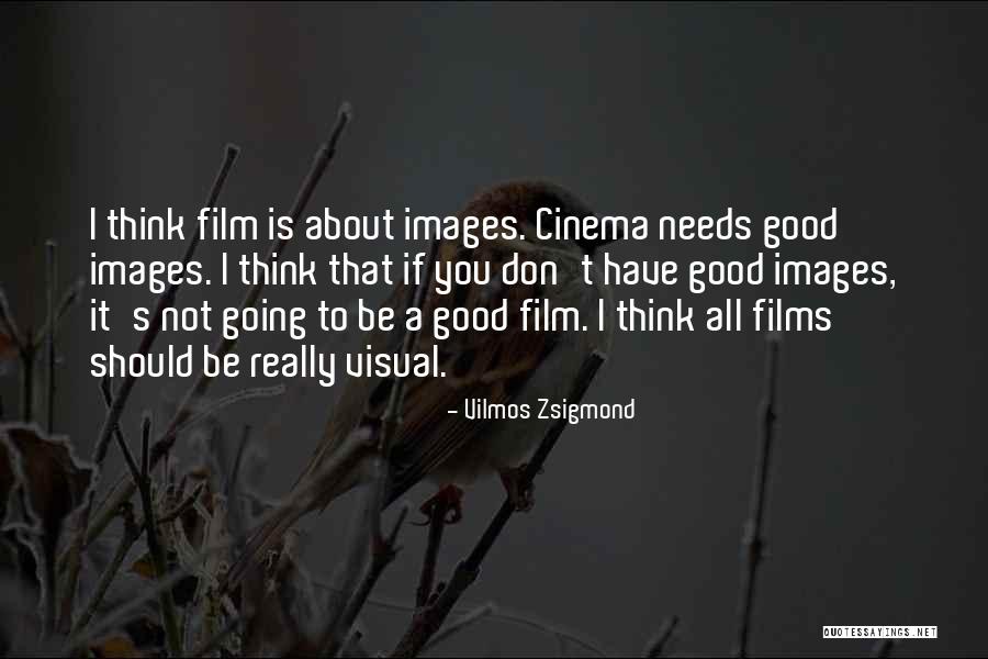 Cinema Film Quotes By Vilmos Zsigmond