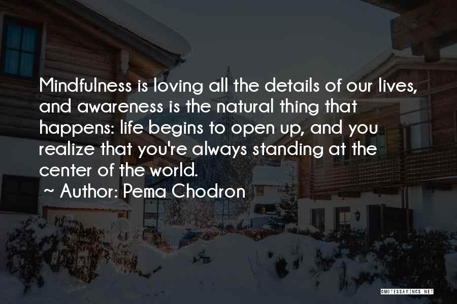 Cinematic Titanic Quotes By Pema Chodron