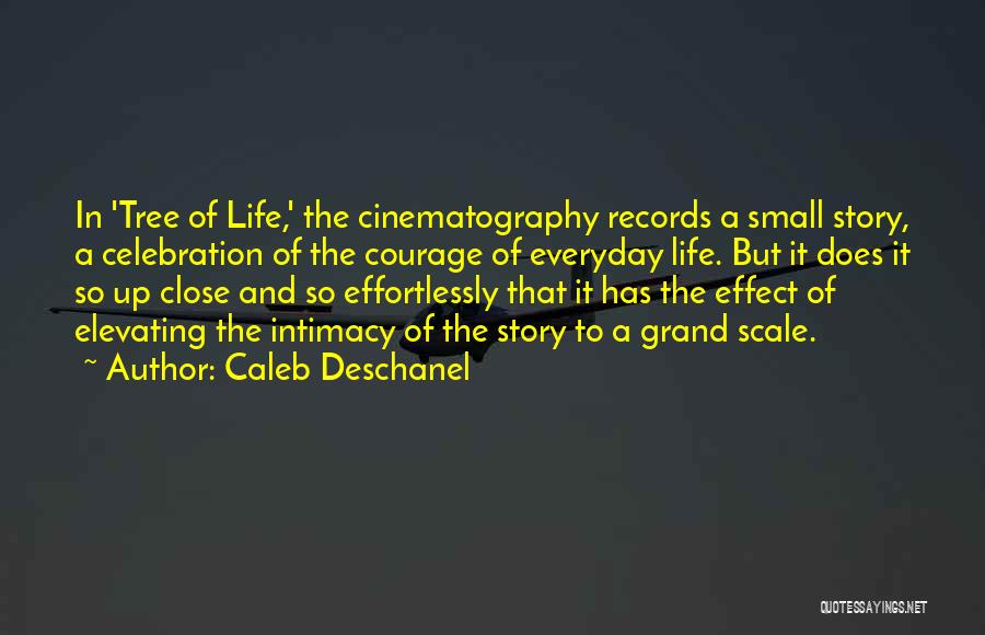 Cinematography Quotes By Caleb Deschanel