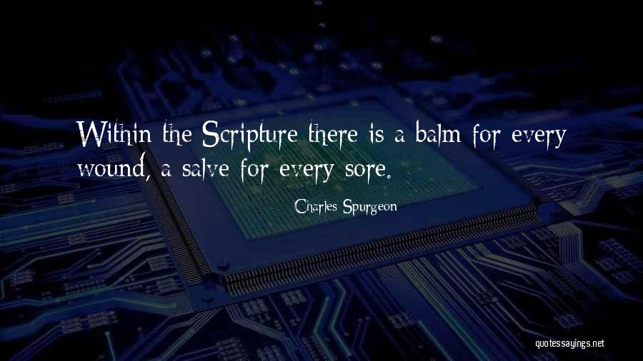 Cineraria Plant Quotes By Charles Spurgeon Cineraria Plant Quotes By Charles Spurgeon