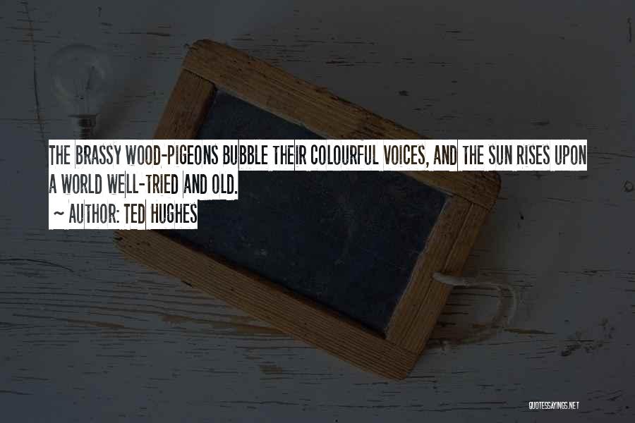 Cink Tablete Quotes By Ted Hughes