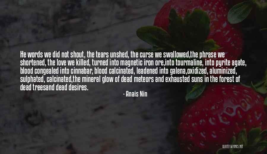 Cinnabar Quotes By Anais Nin Cinnabar Quotes By Anais Nin