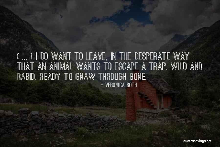 Cinnabon Copycat Quotes By Veronica Roth Cinnabon Copycat Quotes By Veronica Roth