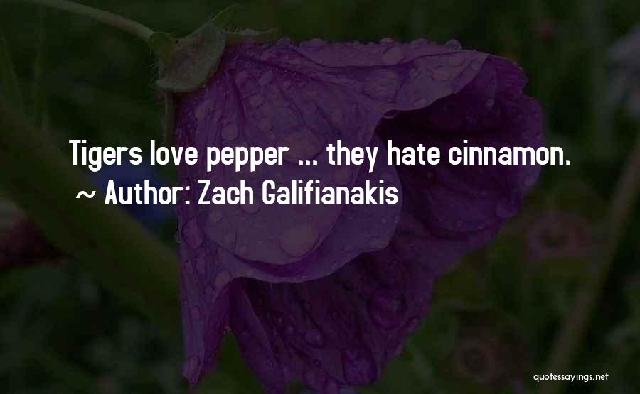 Cinnamon Love Quotes By Zach Galifianakis