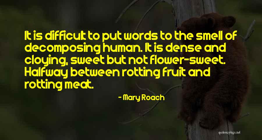 Cinnamons Oahu Quotes By Mary Roach Cinnamons Oahu Quotes By Mary Roach