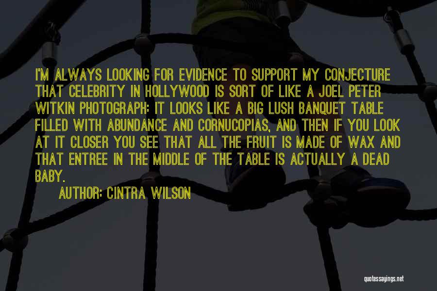 Cintra Wilson Quotes 983264