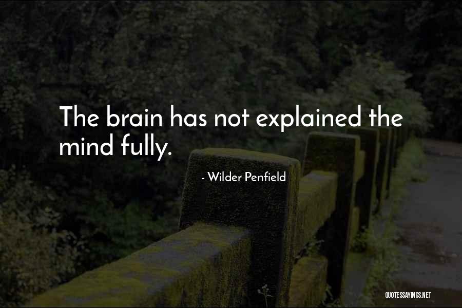 Cioccolatini Lindt Quotes By Wilder Penfield Cioccolatini Lindt Quotes By Wilder Penfield