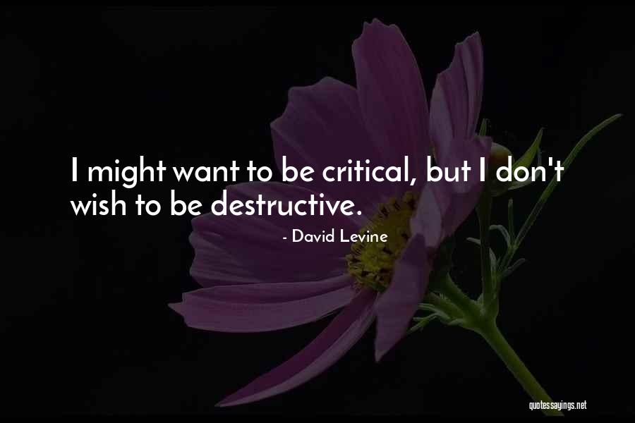 Ciocia Po Quotes By David Levine Ciocia Po Quotes By David Levine