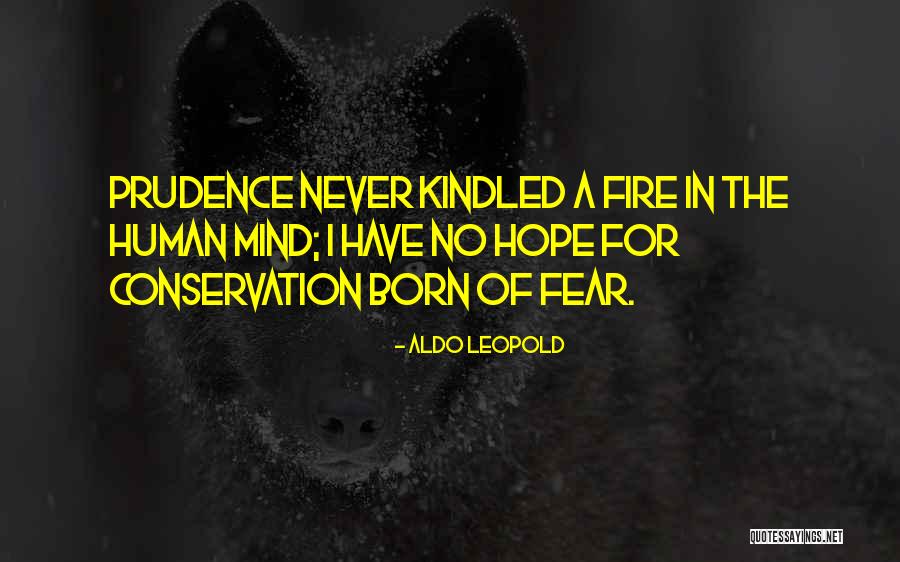 Ciociaria Quotes By Aldo Leopold Ciociaria Quotes By Aldo Leopold