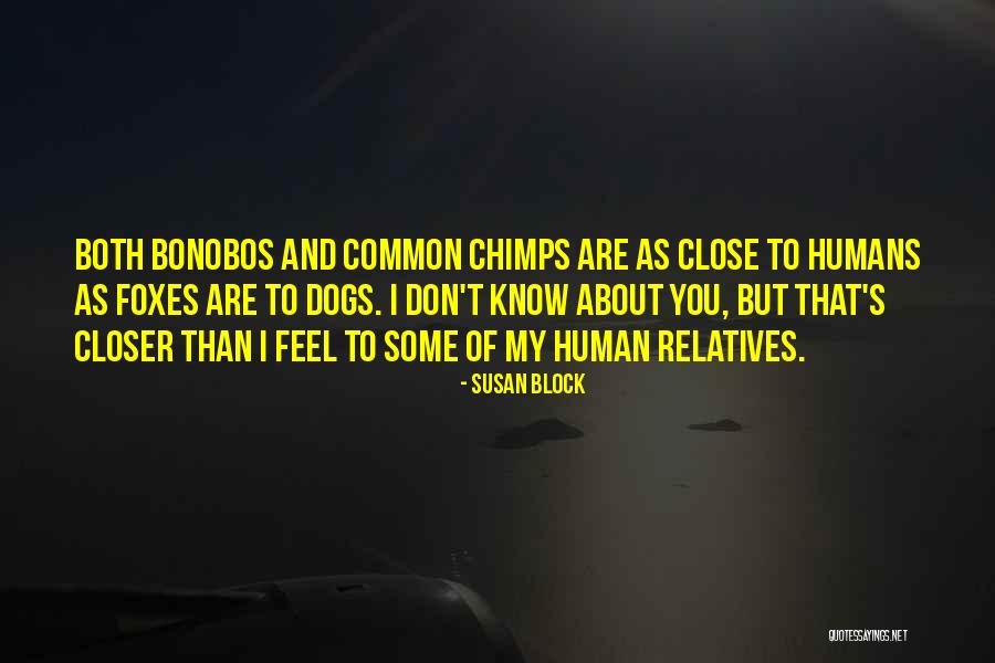 Ciocolata De Casa Quotes By Susan Block Ciocolata De Casa Quotes By Susan Block