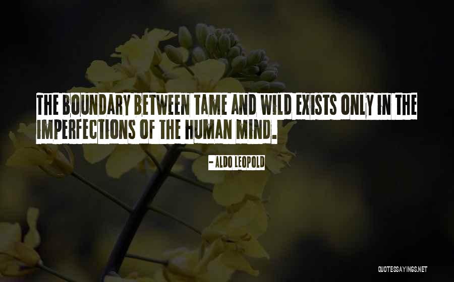 Cip Venture Chemical Feed System Quotes By Aldo Leopold Cip Venture Chemical Feed System Quotes By Aldo Leopold