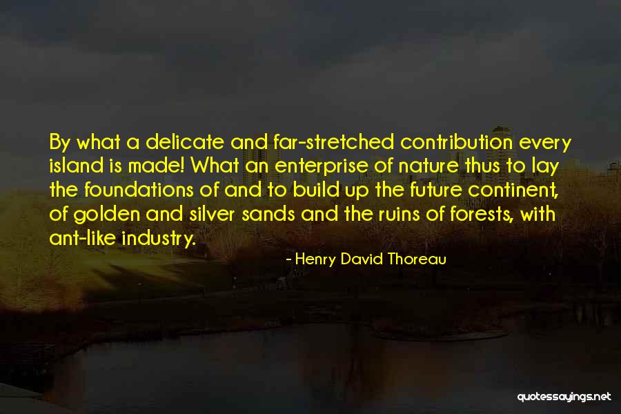 Cipollina Cat Quotes By Henry David Thoreau Cipollina Cat Quotes By Henry David Thoreau