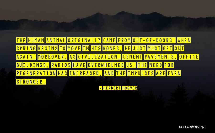 Cipressi Giapponesi Quotes By Herbert Hoover Cipressi Giapponesi Quotes By Herbert Hoover