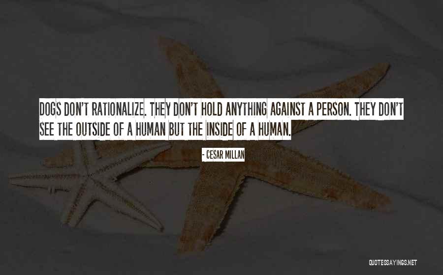 Cipriana Klixen Quotes By Cesar Millan Cipriana Klixen Quotes By Cesar Millan