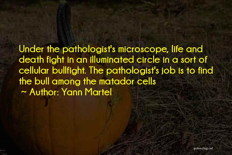 Circle Of Life Death Quotes By Yann Martel