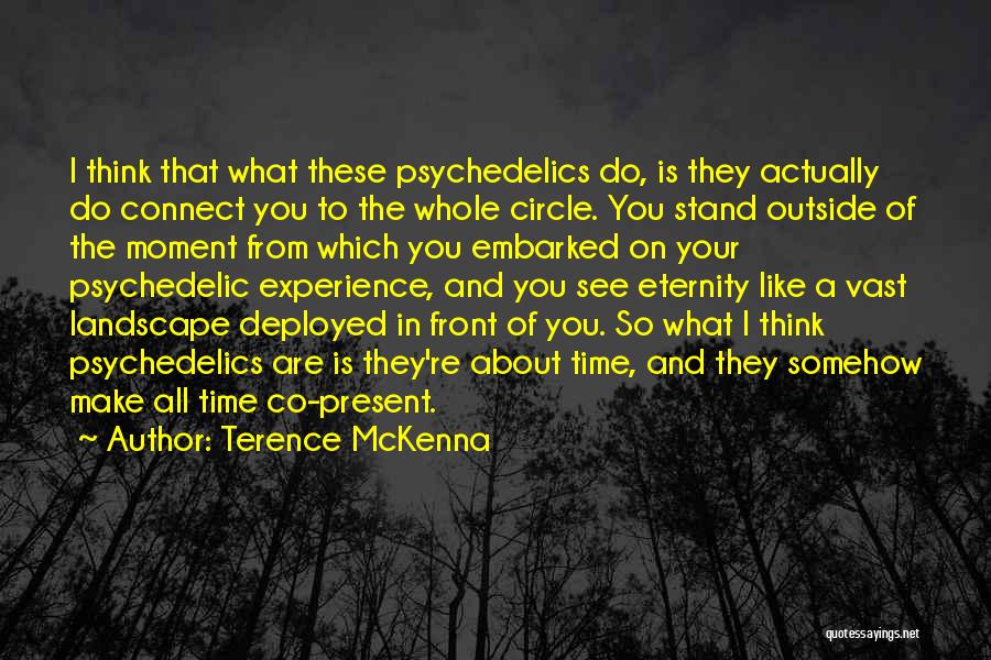 Circles And Eternity Quotes By Terence McKenna