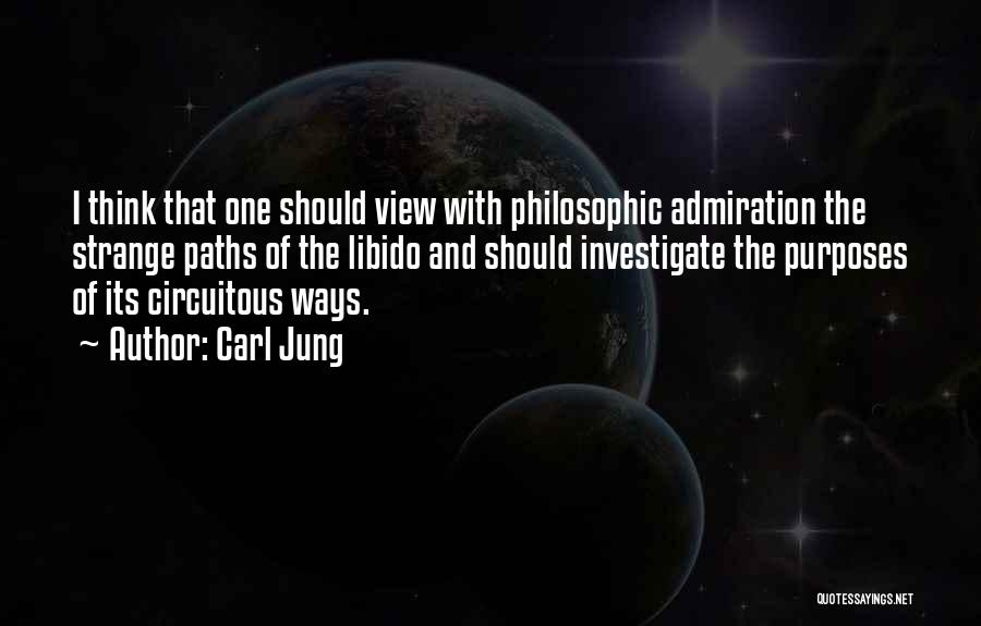 Circuitous Quotes By Carl Jung