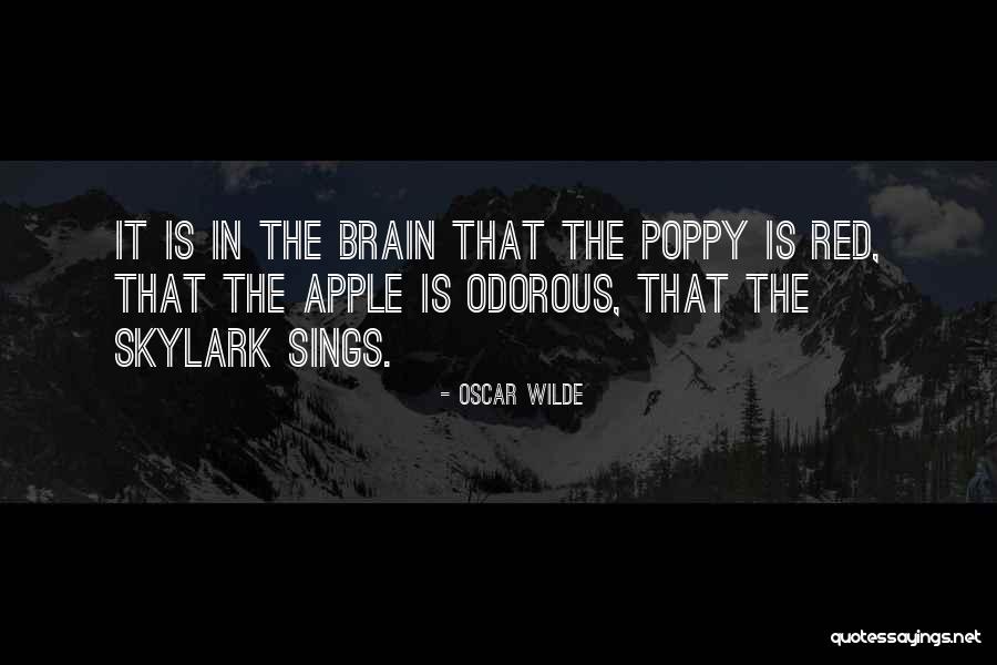 Circumcising Clamps Quotes By Oscar Wilde Circumcising Clamps Quotes By Oscar Wilde
