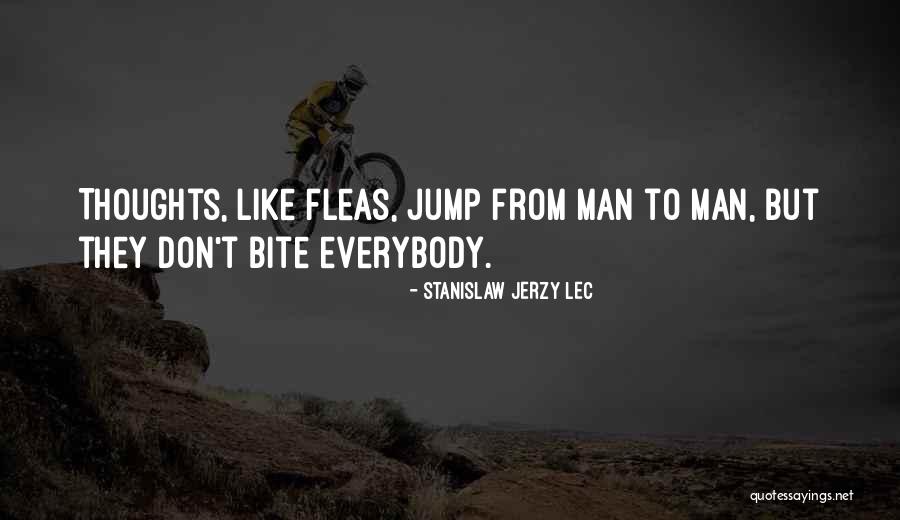 Circumnavigation Synonyms Quotes By Stanislaw Jerzy Lec Circumnavigation Synonyms Quotes By Stanislaw Jerzy Lec