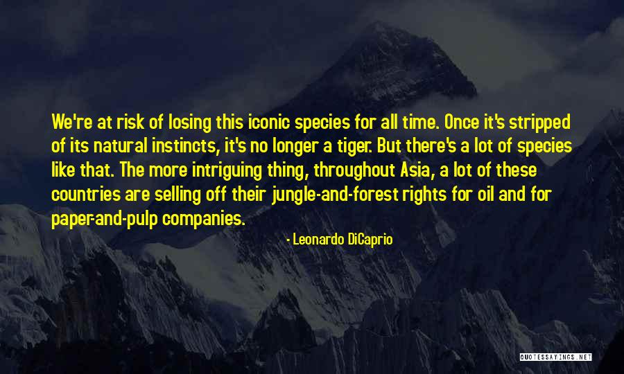 Circundantes Quotes By Leonardo DiCaprio Circundantes Quotes By Leonardo DiCaprio