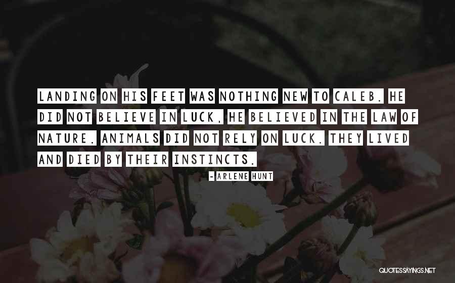 Cirillas Evansville Quotes By Arlene Hunt Cirillas Evansville Quotes By Arlene Hunt