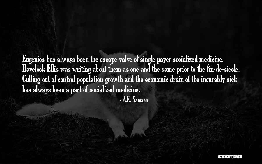 Cirker Hayes Quotes By A.E. Samaan Cirker Hayes Quotes By A.E. Samaan