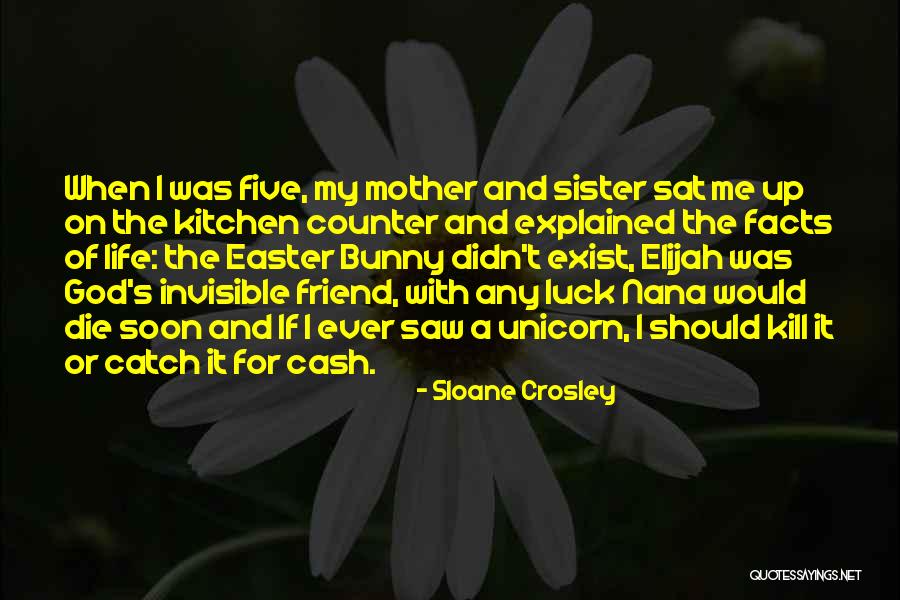 Cisek Oscar Quotes By Sloane Crosley Cisek Oscar Quotes By Sloane Crosley