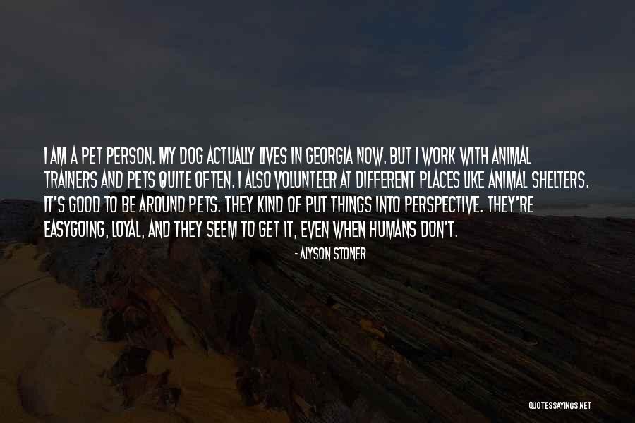 Cismin Yere Quotes By Alyson Stoner Cismin Yere Quotes By Alyson Stoner