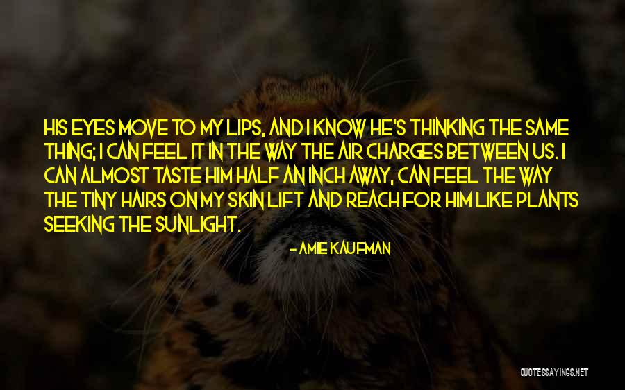 Cismin Yere Quotes By Amie Kaufman Cismin Yere Quotes By Amie Kaufman