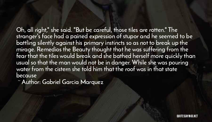 Cistern Quotes By Gabriel Garcia Marquez