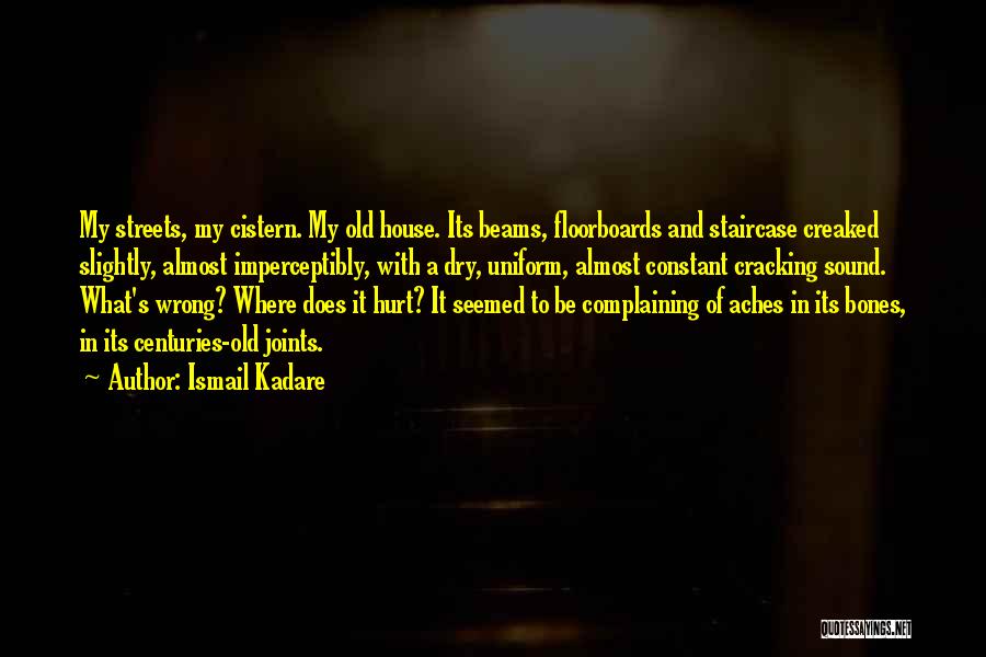 Cistern Quotes By Ismail Kadare