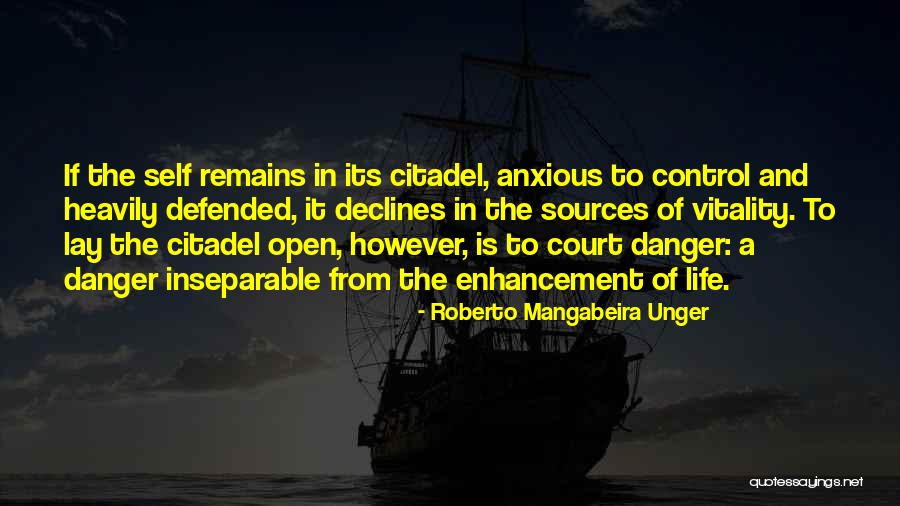 Citadel Quotes By Roberto Mangabeira Unger