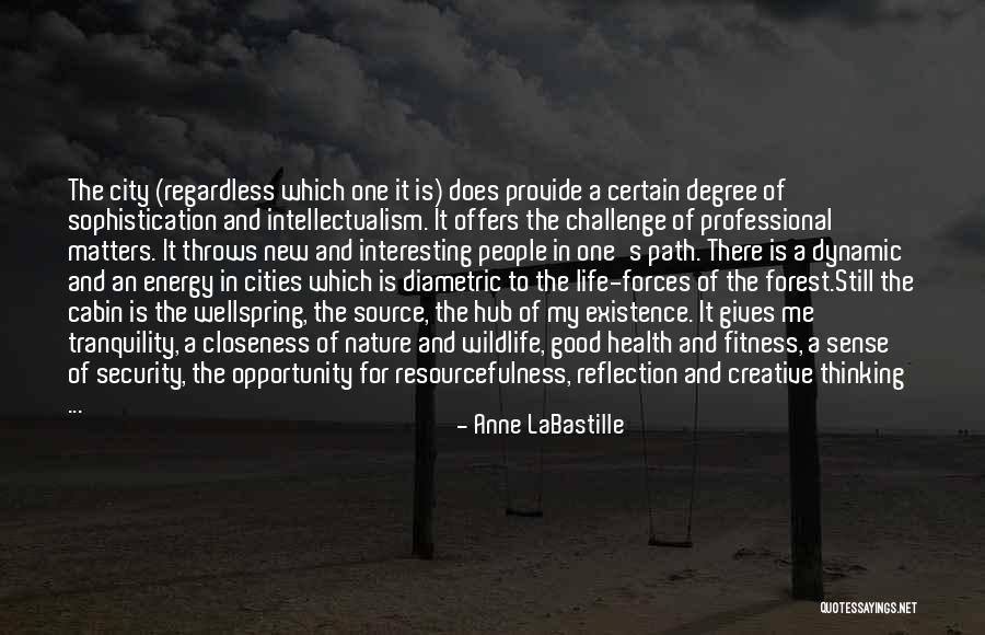 Cities And Nature Quotes By Anne LaBastille Cities And Nature Quotes By Anne LaBastille