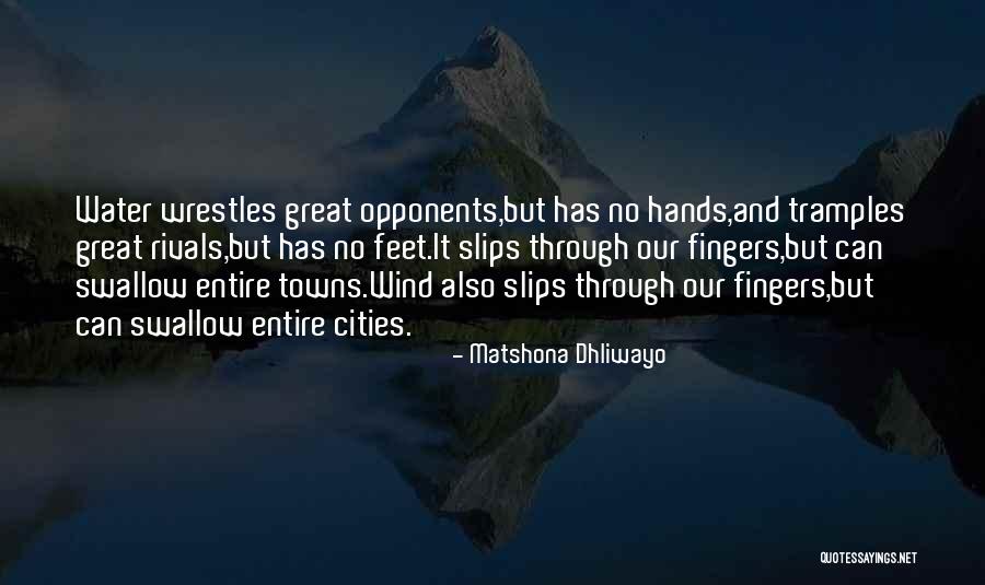 Cities And Nature Quotes By Matshona Dhliwayo Cities And Nature Quotes By Matshona Dhliwayo