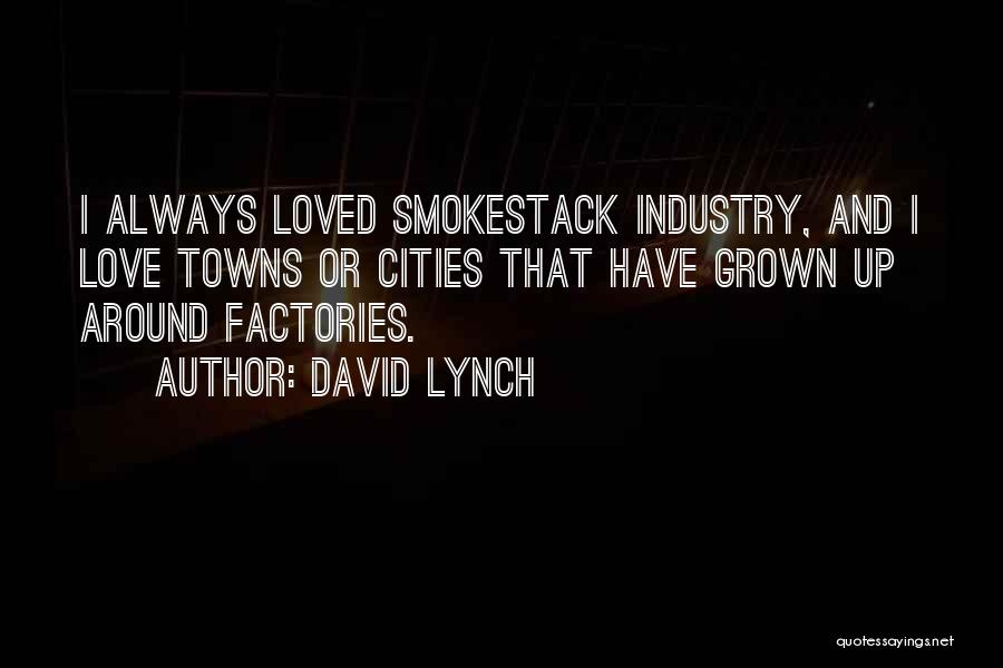 Cities And Towns Quotes By David Lynch