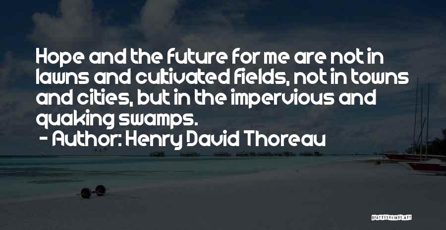 Cities And Towns Quotes By Henry David Thoreau