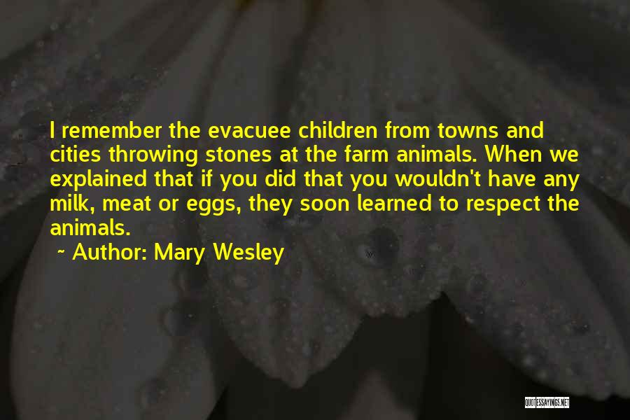 Cities And Towns Quotes By Mary Wesley