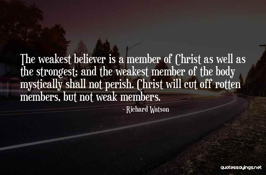 Cities The Size Quotes By Richard Watson Cities The Size Quotes By Richard Watson